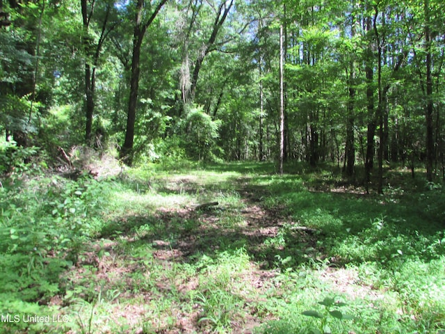 Bend Rd, Vaughan, MS 39179