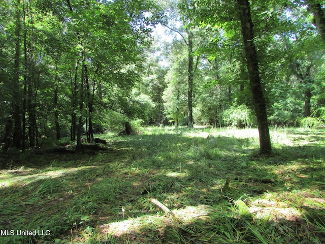Bend Rd, Vaughan, MS 39179