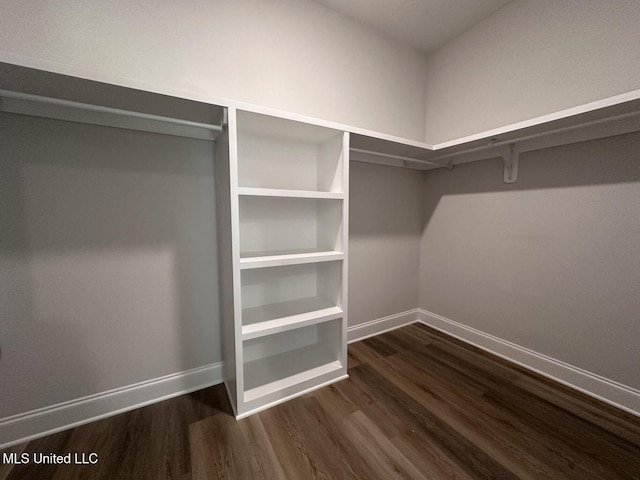 spacious closet featuring dark wood-style flooring