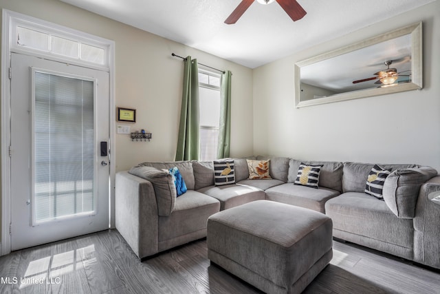 living room with ceiling fan and wood-type flooring