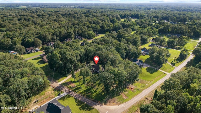 1075 S Laughter Rd, Hernando, MS 38632 - view of property location featuring a forest