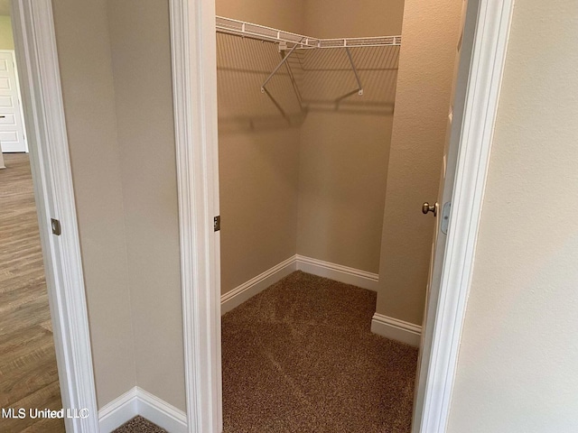 walk in closet with carpet flooring