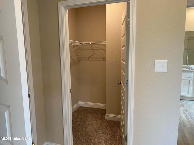 walk in closet featuring carpet