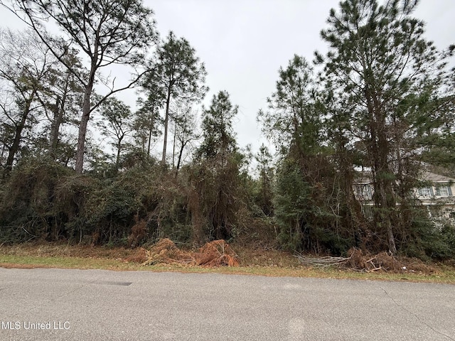 10728 Limu Way, Diamondhead MS, 39525 land for sale