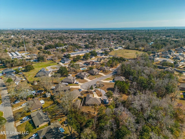 bird's eye view