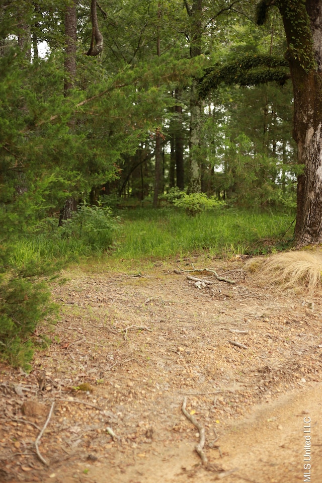 Walker Rd, Vaughan, MS 39179