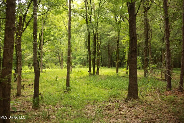 Walker Rd, Vaughan, MS 39179