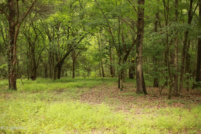 Walker Rd, Vaughan, MS 39179