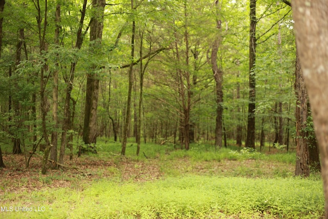 Walker Rd, Vaughan, MS 39179