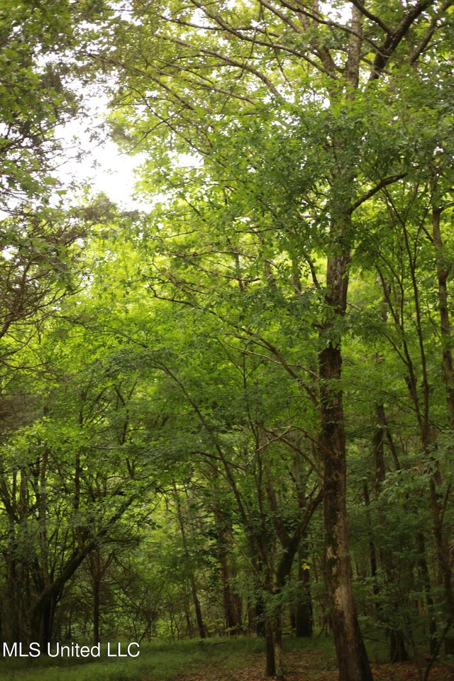 Walker Rd, Vaughan, MS 39179