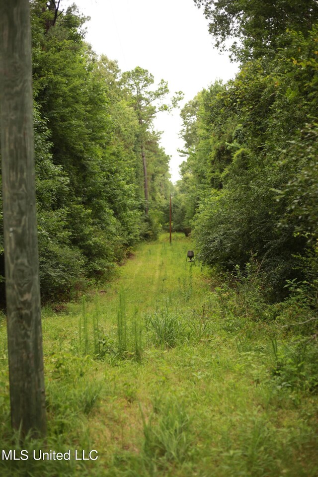 Walker Rd, Vaughan, MS 39179