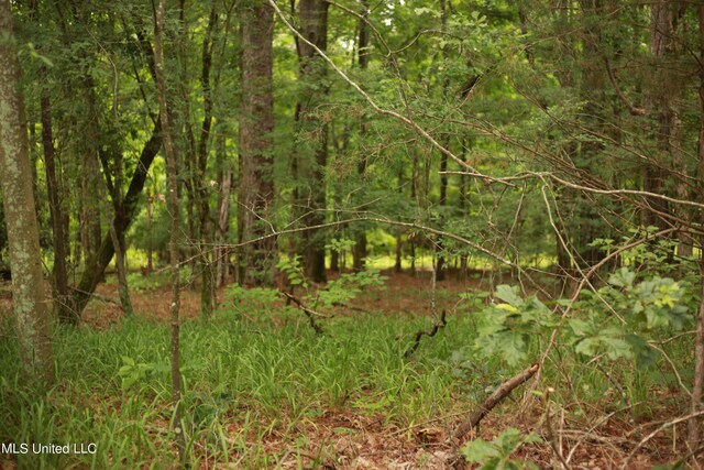 Walker Rd, Vaughan, MS 39179