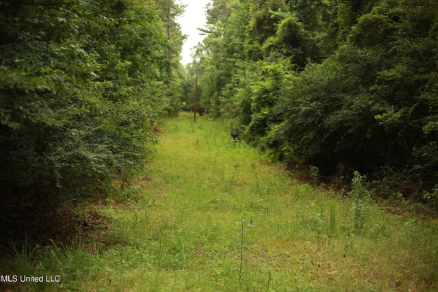 Walker Rd, Vaughan, MS 39179