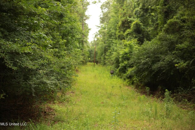 Walker Rd, Vaughan, MS 39179