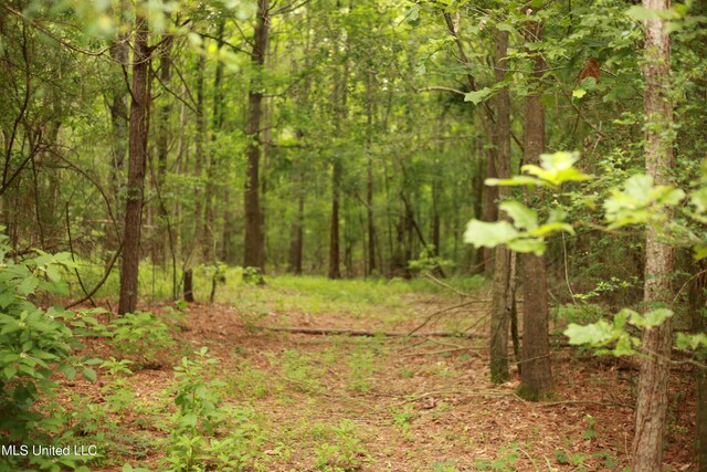 Walker Rd, Vaughan, MS 39179