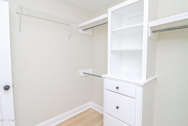 spacious closet with wood-type flooring