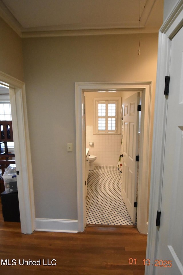 hall with wood-type flooring and plenty of natural light