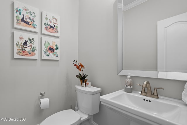 bathroom with toilet, crown molding, and sink