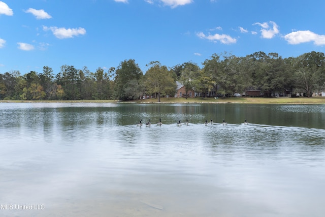 water view