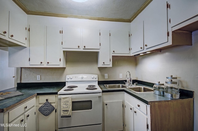 8962 Pleasant Hill Rd, Carthage, MS 39051 - kitchen with white electric range, a sink, dark countertops, ornamental molding, and white cabinetry