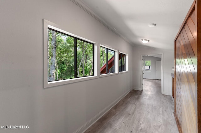 hallway with ornamental molding, plenty of natural light, and light wood-type flooring