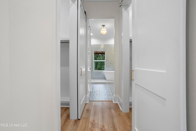 corridor with light hardwood / wood-style flooring and a barn door