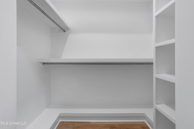 spacious closet featuring wood-type flooring