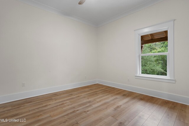 spare room with crown molding and light hardwood / wood-style floors