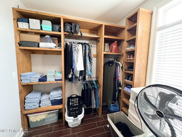 view of spacious closet