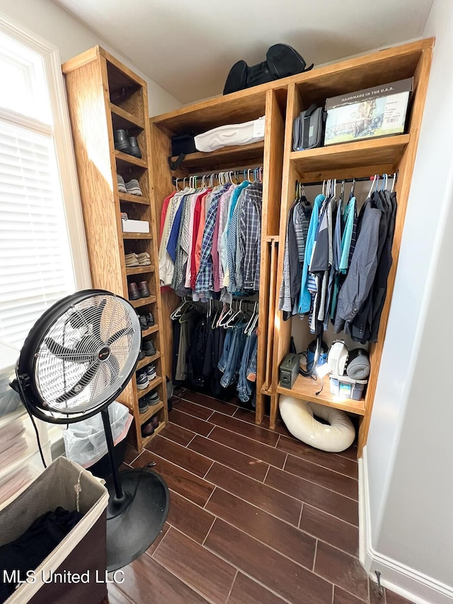 view of spacious closet