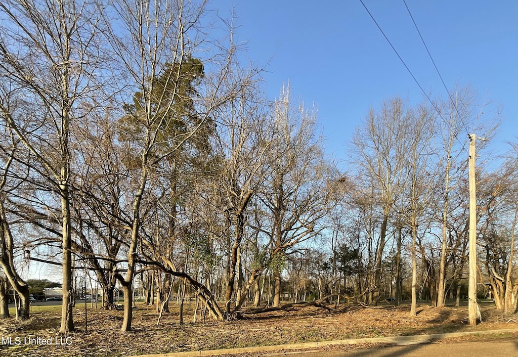 Old Canton Rd, Jackson, MS 39211