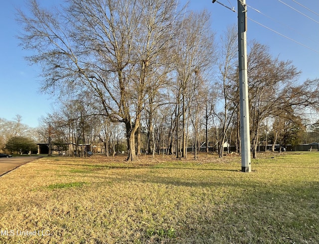Old Canton Rd, Jackson, MS 39211