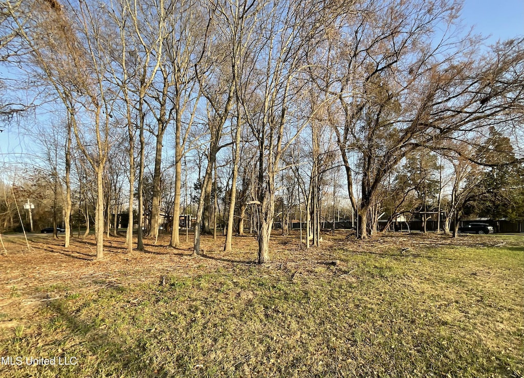 Old Canton Rd, Jackson, MS 39211