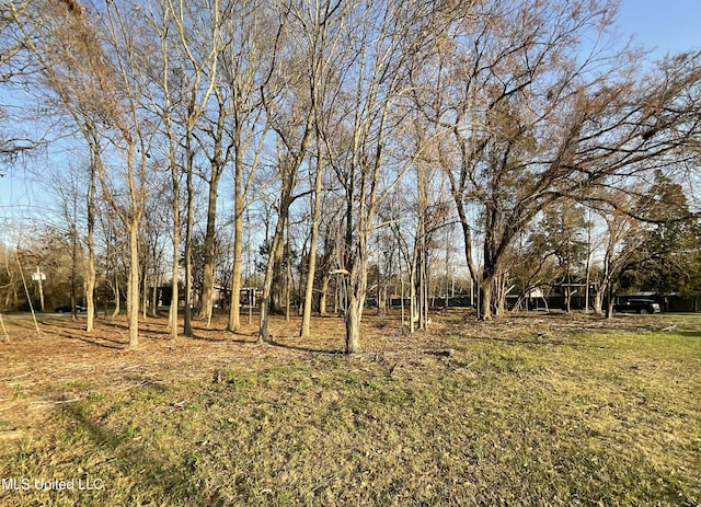 Old Canton Rd, Jackson, MS 39211
