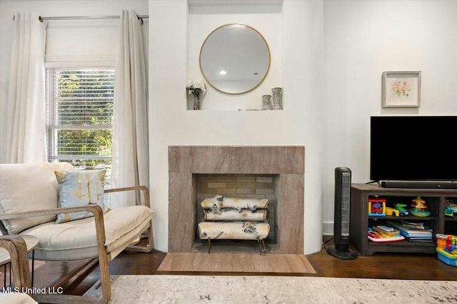 living room featuring dark hardwood / wood-style floors