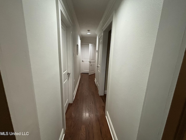 corridor with dark hardwood / wood-style flooring