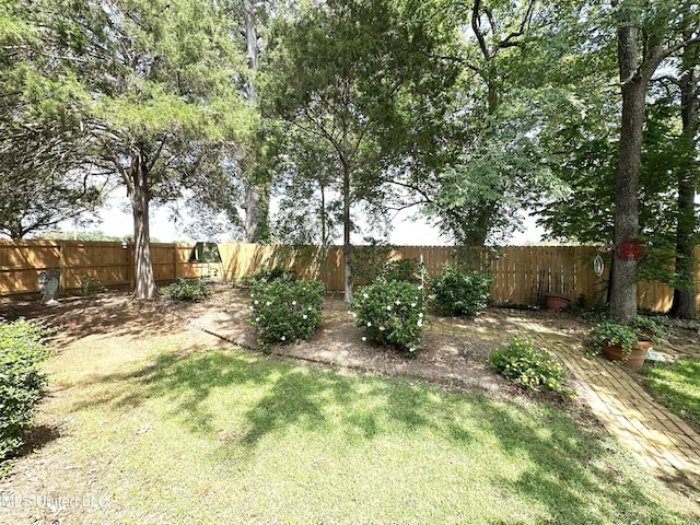 view of yard with a fenced backyard