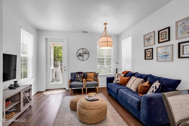 2207 Government St Unit 15, Ocean Springs, MS 39564 - living room featuring dark wood-type flooring and baseboards