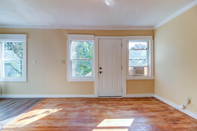 entryway with light hardwood / wood-style floors and a healthy amount of sunlight