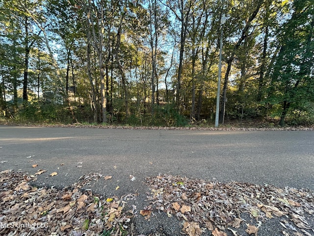 4247 Bienville Rd, Nesbit, MS 38651