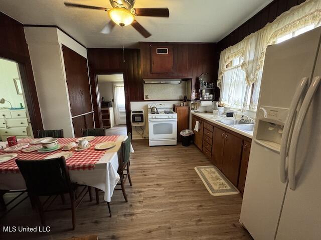 kitchen with plenty of natural light, white appliances, light hardwood / wood-style flooring, and sink