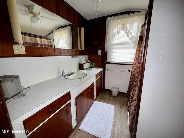 bathroom featuring ceiling fan, wood-type flooring, and vanity