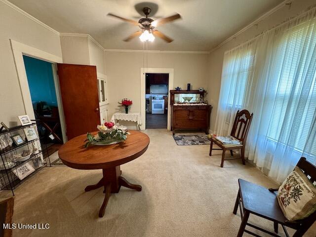 sitting room featuring light carpet, ceiling fan, and crown molding