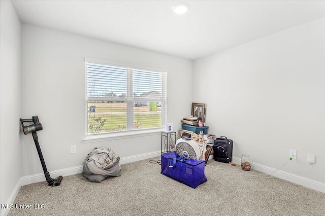 miscellaneous room featuring baseboards and carpet