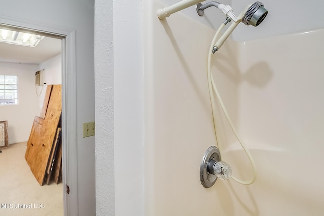 interior details featuring walk in shower