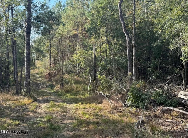 J Bailey Rd, Wiggins MS, 39577 land for sale