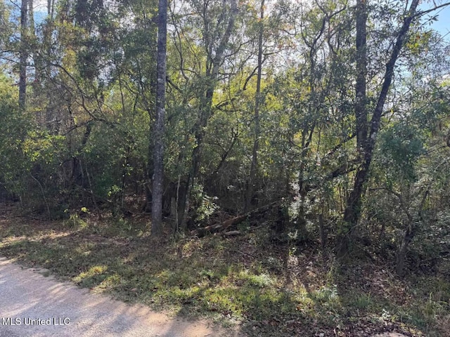 Listing photo 2 for J Bailey Rd, Wiggins MS 39577