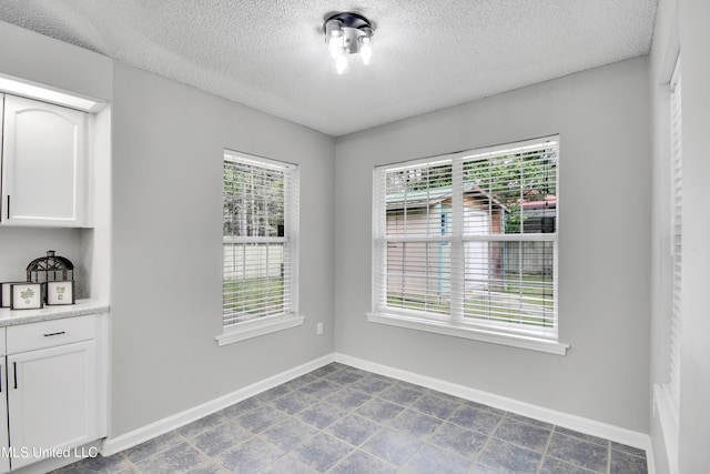 unfurnished dining area featuring a wealth of natural light, a textured ceiling, and baseboards