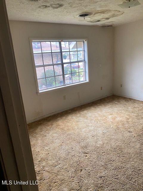 spare room featuring carpet and a textured ceiling