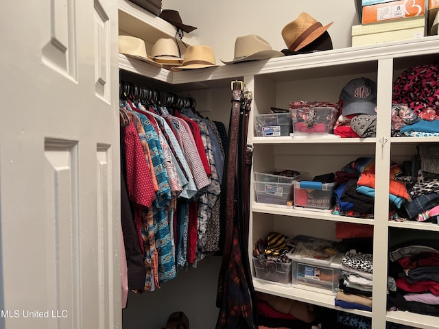 420 Fox Bay Dr, Brandon, MS 39047 - view of spacious closet